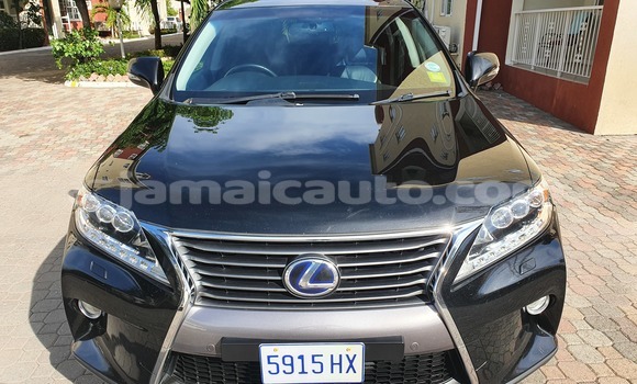 Buy Used Lexus RX Black Car in Kingston in Kingston Buy Used Lexus RX Black Car in Kingston in Kingston