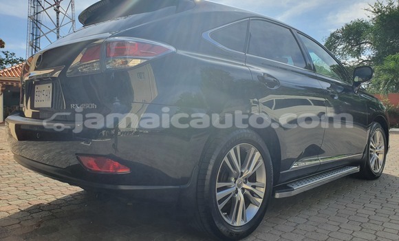 Buy Used Lexus RX Black Car in Kingston in Kingston Buy Used Lexus RX Black Car in Kingston in Kingston