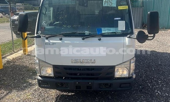 Buy Used Isuzu FTR 850 White Truck in Lucea in Hanover Buy Used Isuzu FTR 850 White Truck in Lucea in Hanover