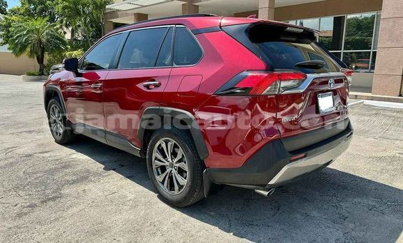 Buy Used Toyota RAV4 Other Car in Kingston in Kingston Buy Used Toyota RAV4 Other Car in Kingston in Kingston