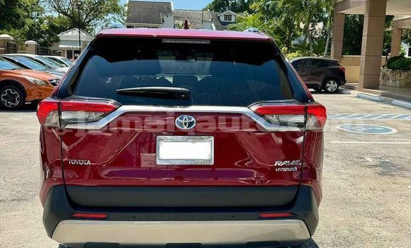 Buy Used Toyota RAV4 Other Car in Kingston in Kingston Buy Used Toyota RAV4 Other Car in Kingston in Kingston
