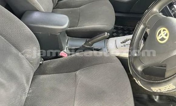 Buy Used Toyota Aqua Other Car in Kingston in Kingston Buy Used Toyota Aqua Other Car in Kingston in Kingston
