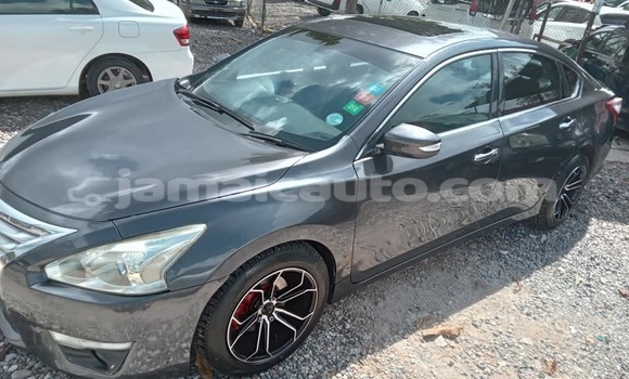 Buy Used Nissan Teana Other Car in Lucea in Hanover