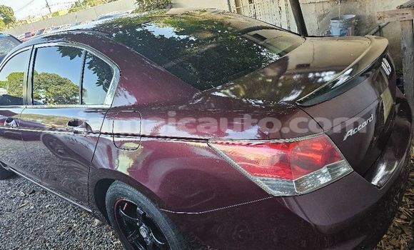 Buy Used Honda Accord Other Car in Lucea in Hanover Buy Used Honda Accord Other Car in Lucea in Hanover