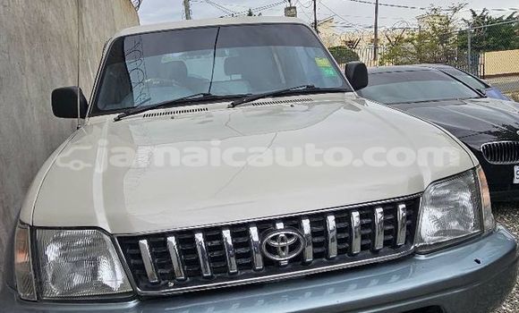 Buy Used Toyota Prado Other Car in Mandeville in Manchester Buy Used Toyota Prado Other Car in Mandeville in Manchester
