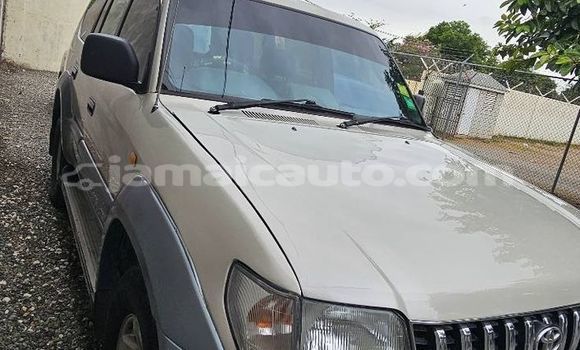 Buy Used Toyota Prado Other Car in Mandeville in Manchester Buy Used Toyota Prado Other Car in Mandeville in Manchester