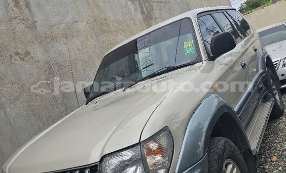 Buy Used Toyota Prado Other Car in Mandeville in Manchester Buy Used Toyota Prado Other Car in Mandeville in Manchester