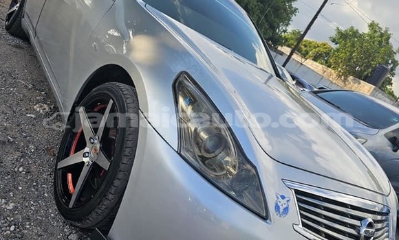 Buy Used Nissan Skyline Other Car in Kingston in Kingston