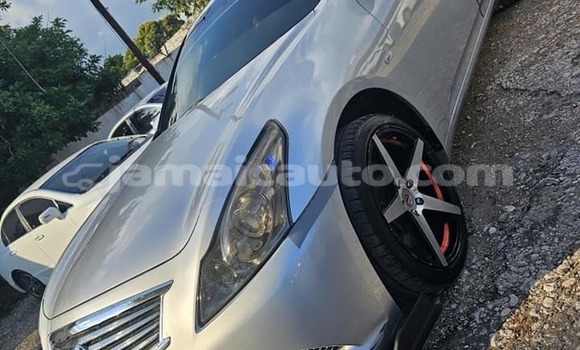 Buy Used Nissan Skyline Other Car in Kingston in Kingston Buy Used Nissan Skyline Other Car in Kingston in Kingston