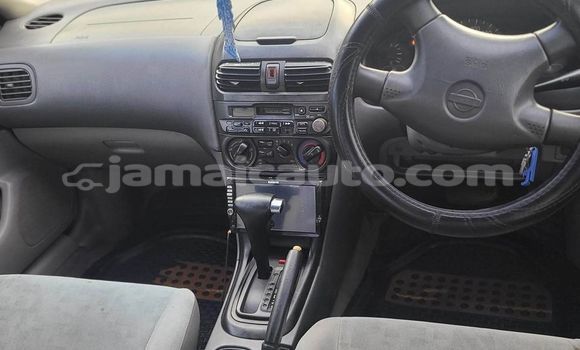 Buy Used Nissan Sunny Other Car in Kingston in Kingston Buy Used Nissan Sunny Other Car in Kingston in Kingston