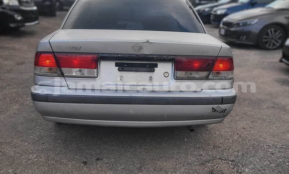Buy Used Nissan Sunny Other Car in Kingston in Kingston Buy Used Nissan Sunny Other Car in Kingston in Kingston