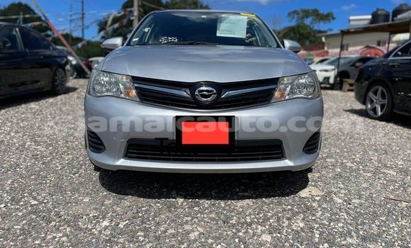 Buy Used Toyota Allex Other Car in Kingston in Kingston Buy Used Toyota Allex Other Car in Kingston in Kingston