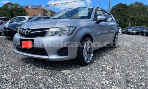 Buy Used Toyota Allex Other Car in Kingston in Kingston Buy Used Toyota Allex Other Car in Kingston in Kingston