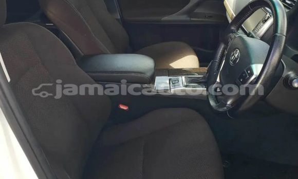 Buy Used Toyota Mark X White Car in Kingston in Kingston Buy Used Toyota Mark X White Car in Kingston in Kingston