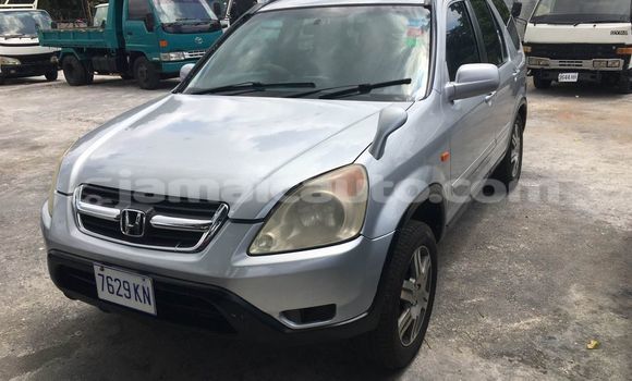 Buy Used Honda CR–V Other Car in Kingston in Kingston Buy Used Honda CR–V Other Car in Kingston in Kingston