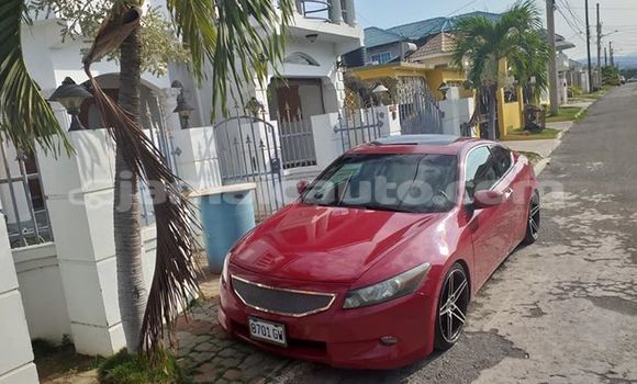 Buy Used Honda Accord Red Car in Kingston in Kingston