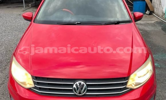 Buy Used Volkswagen Polo Red Car in Kingston in Kingston