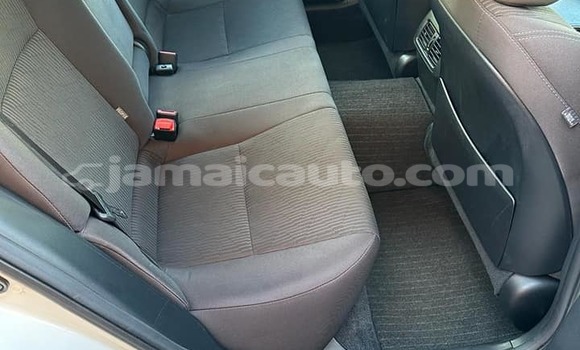 Acheter Occasion Voiture Honda Vezel Blanc à Kingston, Kingston Acheter Occasion Voiture Honda Vezel Blanc à Kingston, Kingston