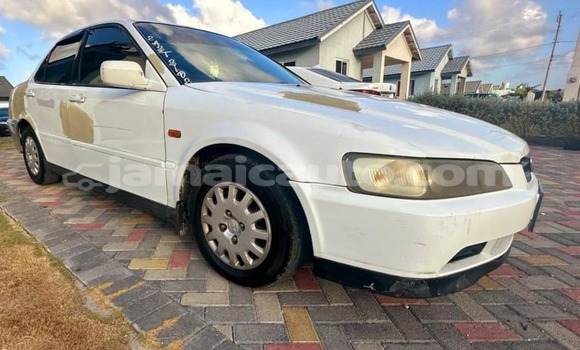 Buy Used Honda Accord Other Car in Kingston in Kingston Buy Used Honda Accord Other Car in Kingston in Kingston