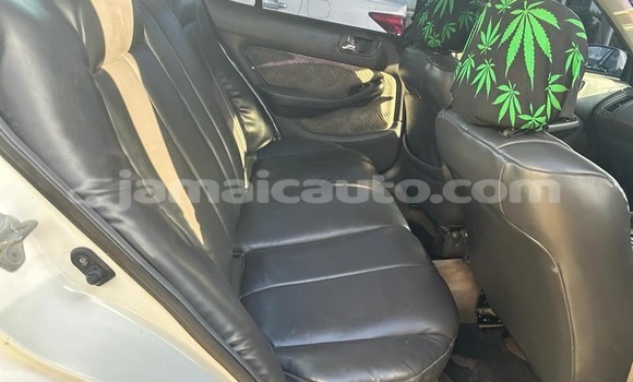 Buy Used Honda Accord Other Car in Kingston in Kingston Buy Used Honda Accord Other Car in Kingston in Kingston