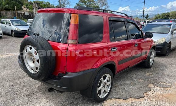 Buy Used Honda CR–V Red Car in Lucea in Hanover
