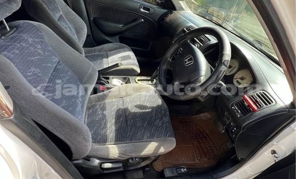 Buy Used Honda Civic White Car in Kingston in Kingston