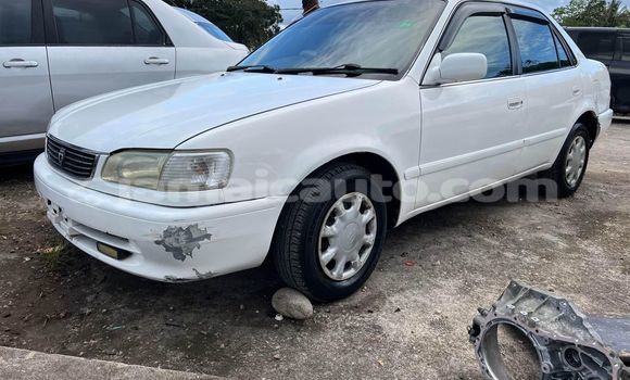 Buy Used Toyota Corolla White Car in Kingston in Kingston Buy Used Toyota Corolla White Car in Kingston in Kingston
