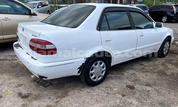 Buy Used Toyota Corolla White Car in Kingston in Kingston Buy Used Toyota Corolla White Car in Kingston in Kingston