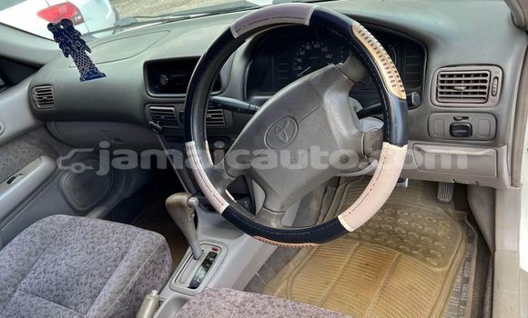 Buy Used Toyota Corolla White Car in Kingston in Kingston Buy Used Toyota Corolla White Car in Kingston in Kingston