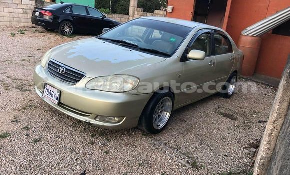 Buy Used Toyota Altis Other Car in Mandeville in Manchester Buy Used Toyota Altis Other Car in Mandeville in Manchester