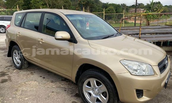 Buy Used Toyota RAV4 Other Car in Kingston in Kingston Buy Used Toyota RAV4 Other Car in Kingston in Kingston