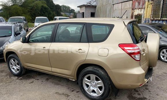 Buy Used Toyota RAV4 Other Car in Kingston in Kingston Buy Used Toyota RAV4 Other Car in Kingston in Kingston