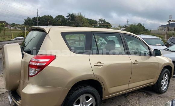 Buy Used Toyota RAV4 Other Car in Kingston in Kingston Buy Used Toyota RAV4 Other Car in Kingston in Kingston