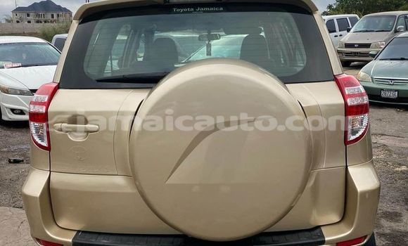 Buy Used Toyota RAV4 Other Car in Kingston in Kingston Buy Used Toyota RAV4 Other Car in Kingston in Kingston