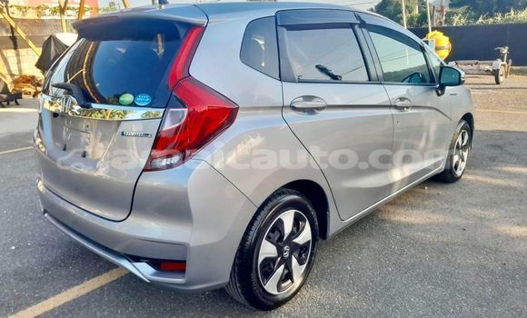 Buy Used Honda FIT Other Car in Falmouth in Trelawney Buy Used Honda FIT Other Car in Falmouth in Trelawney