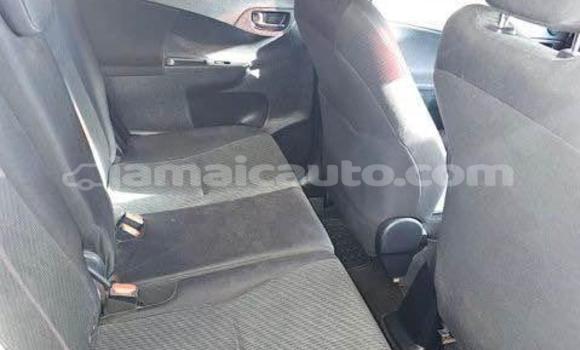 Buy Used Toyota Ractis Other Car in Kingston in Kingston Buy Used Toyota Ractis Other Car in Kingston in Kingston