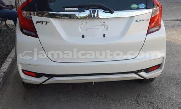 Buy Used Honda FIT White Car in Kingston in Kingston Buy Used Honda FIT White Car in Kingston in Kingston