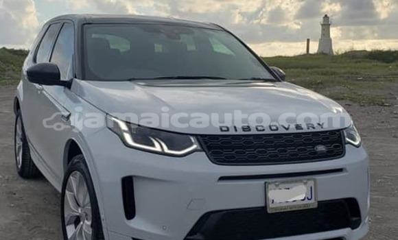 Buy Used Land Rover Discovery White Car in Kingston in Kingston