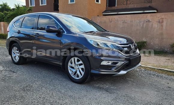 Buy Used Honda CR–V Black Car in Kingston in Kingston Buy Used Honda CR–V Black Car in Kingston in Kingston