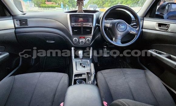 Buy Used Subaru Forester Black Car in Kingston in Kingston Buy Used Subaru Forester Black Car in Kingston in Kingston