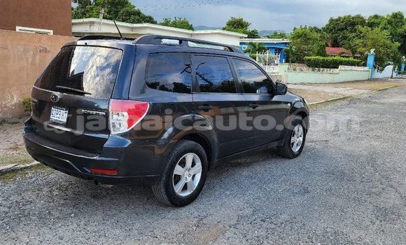 Buy Used Subaru Forester Black Car in Kingston in Kingston Buy Used Subaru Forester Black Car in Kingston in Kingston