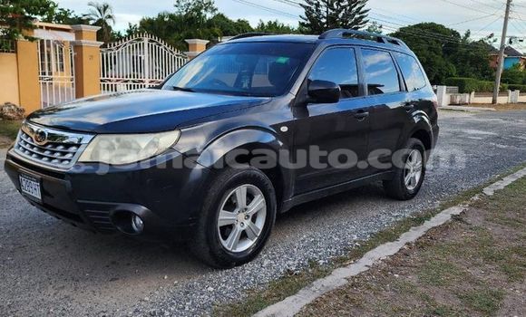 Buy Used Subaru Forester Black Car in Kingston in Kingston Buy Used Subaru Forester Black Car in Kingston in Kingston