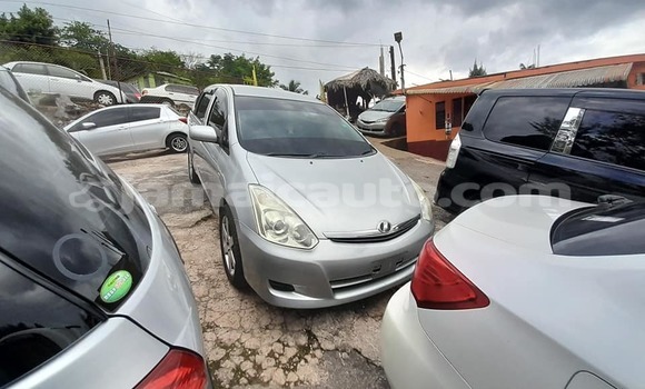 Buy Used Toyota Wish Other Car in Falmouth in Trelawney