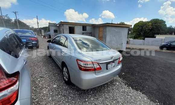 Acheter Occasion Voiture Toyota Premio Blanc à Albert Town, Trelawney Acheter Occasion Voiture Toyota Premio Blanc à Albert Town, Trelawney