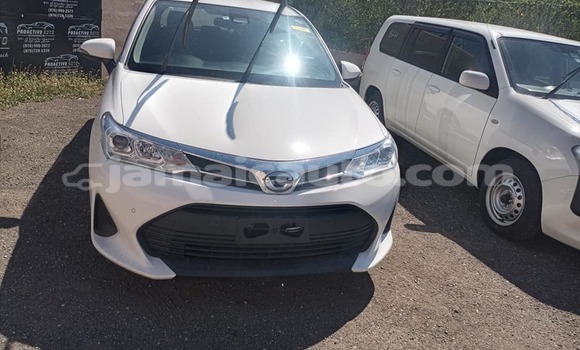 Buy Used Toyota FJ Cruiser White Car in Mandeville in Manchester