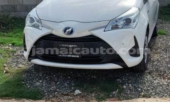 Buy Used Toyota Vitz White Car in Kingston in Kingston Buy Used Toyota Vitz White Car in Kingston in Kingston