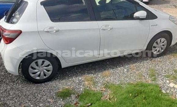 Buy Used Toyota Vitz White Car in Kingston in Kingston Buy Used Toyota Vitz White Car in Kingston in Kingston