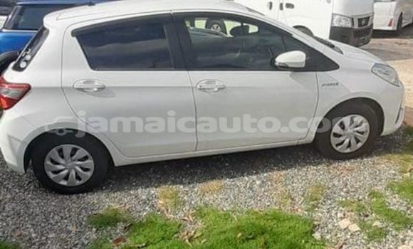 Buy Used Toyota Vitz White Car in Kingston in Kingston Buy Used Toyota Vitz White Car in Kingston in Kingston