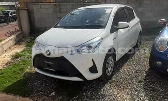 Buy Used Toyota Vitz White Car in Kingston in Kingston Buy Used Toyota Vitz White Car in Kingston in Kingston