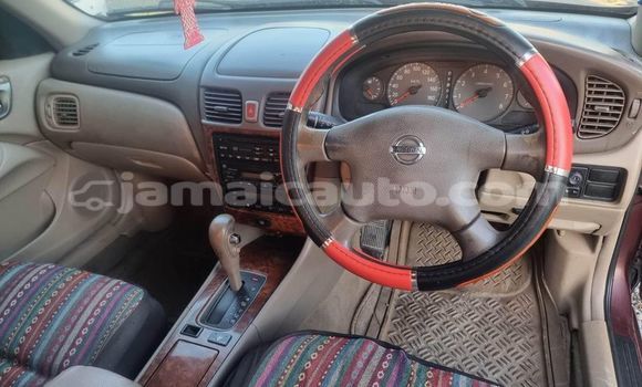 Buy Used Nissan Bluebird Other Car in Mandeville in Manchester Buy Used Nissan Bluebird Other Car in Mandeville in Manchester